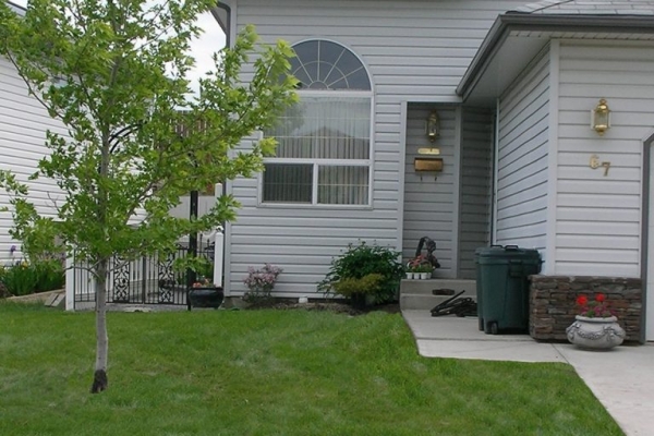 Typical front yard BEFORE curb