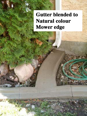 Profile- Gutter Base- Natural Release- none Stamp-none