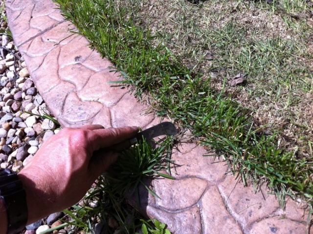 grass hooked out of gap in curb