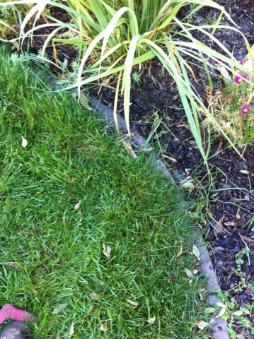 mulch washed out of bed and overgrew at front of curb