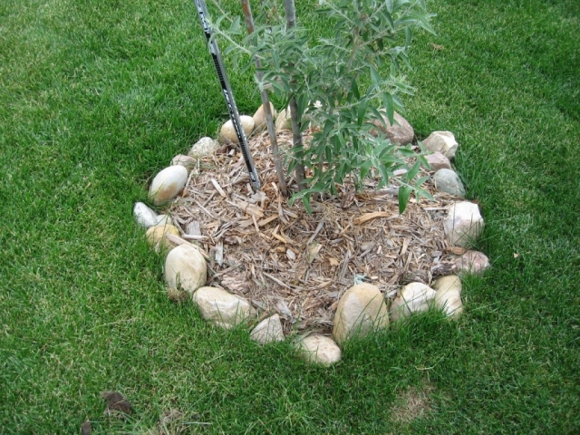 Rocks never work out well as edging