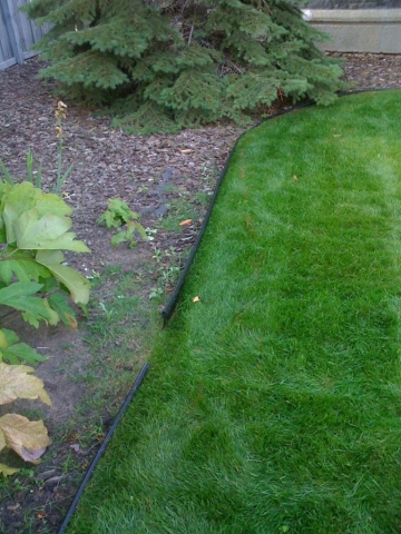 plastic edging gets hit by mower and grass climbs over