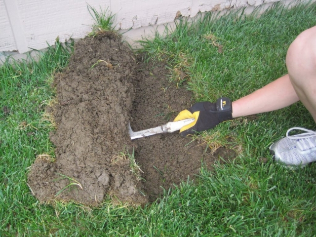 sure, peel back the sod with a knife  for the curb
