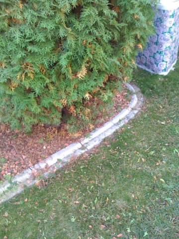 Old Curb- 19 years