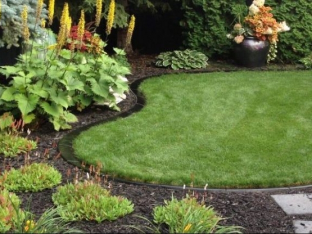 gorgeous back yard with simple peanut shape black curb