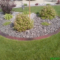 Base- Taupe  Release- Red and black Stamp- Cobble