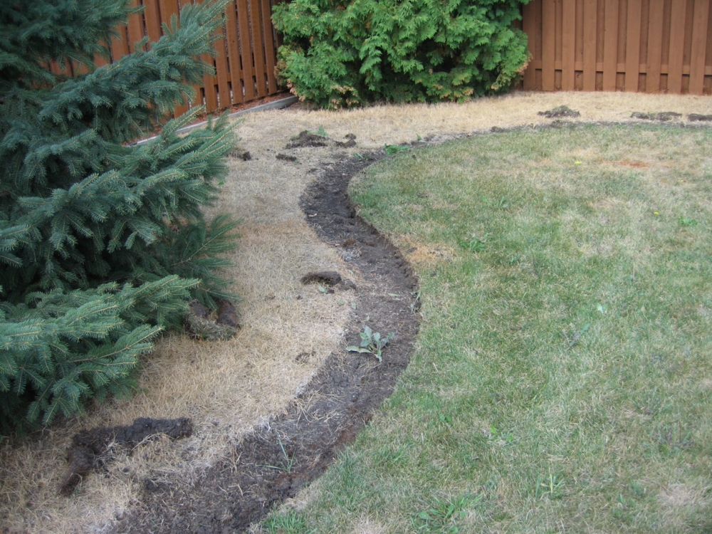 Kill and cover- lawn behind will be covered with fabric and rock. no need to peel it all up!