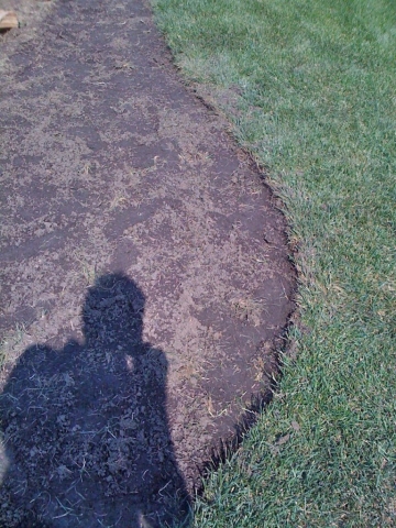 this shallow depth is fine for new lawn.  deeper on older lawns is fine, because thatch is established.