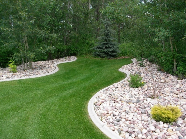 Transition buffer zone lawn to bush