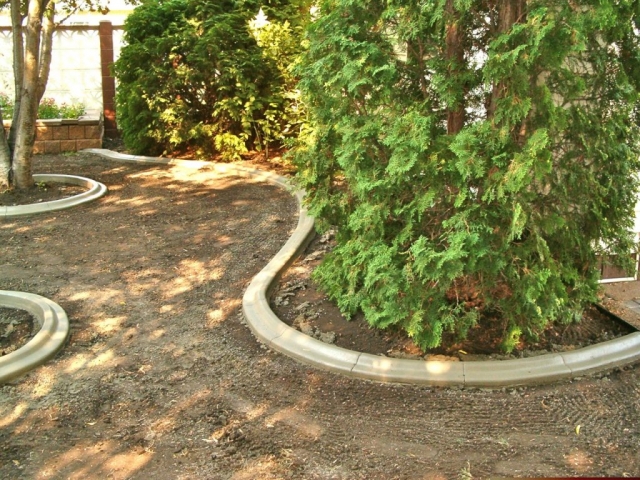 renovated back yard curb